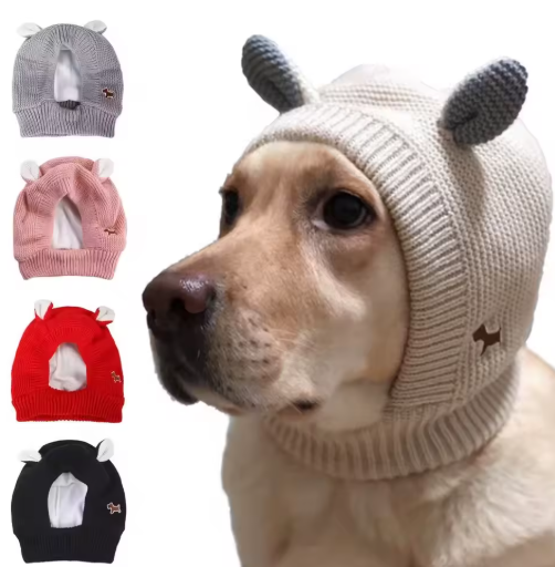 Cache oreille pour chiens