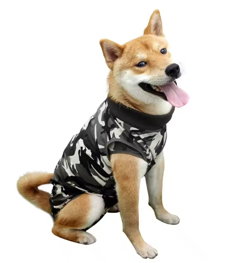 Vêtement anti-lèchage post-opératoire (Camouflage)