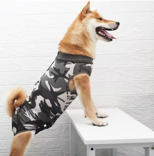 Vêtement anti-lèchage post-opératoire (Camouflage)