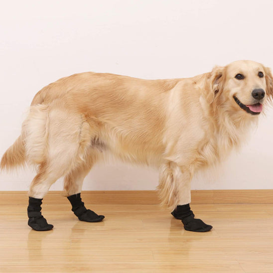Chaussettes extérieures de qualité supérieure pour chien en élastomère