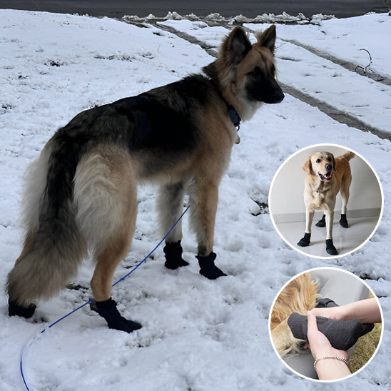 Chaussettes extérieures de qualité supérieure pour chien en élastomère