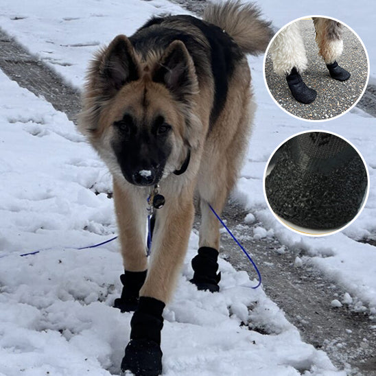 Chaussettes extérieures de qualité supérieure pour chien en élastomère