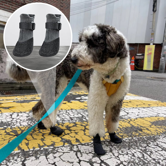 Chaussettes extérieures de qualité supérieure pour chien en élastomère