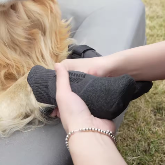 Chaussettes extérieures de qualité supérieure pour chien en élastomère