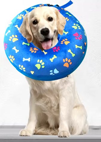 Collier élisabéthain gonflable pour chiens bleu foncé