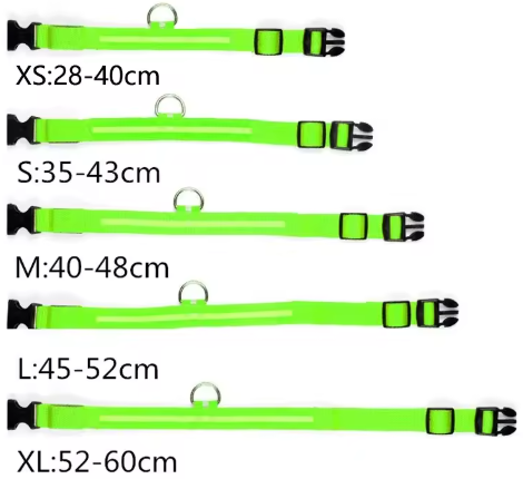 Collier lumineux rose au LED pour chiens (batterie ou rechargeable) (Copie) (Copie)