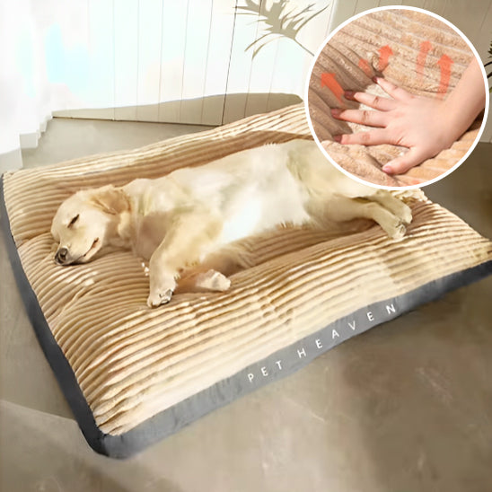 Coussin ultra confort avec housse lavable pour chien