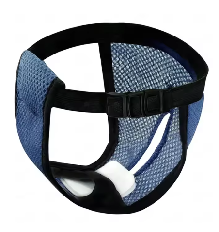 Culotte slip menstruation chien bleue