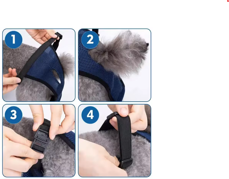 Culotte slip menstruation chien ajustements