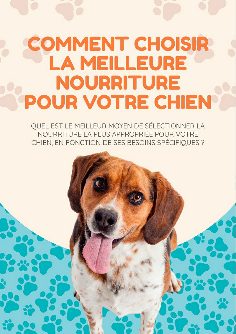E-book: Choisir la meilleure nourriture pour chien