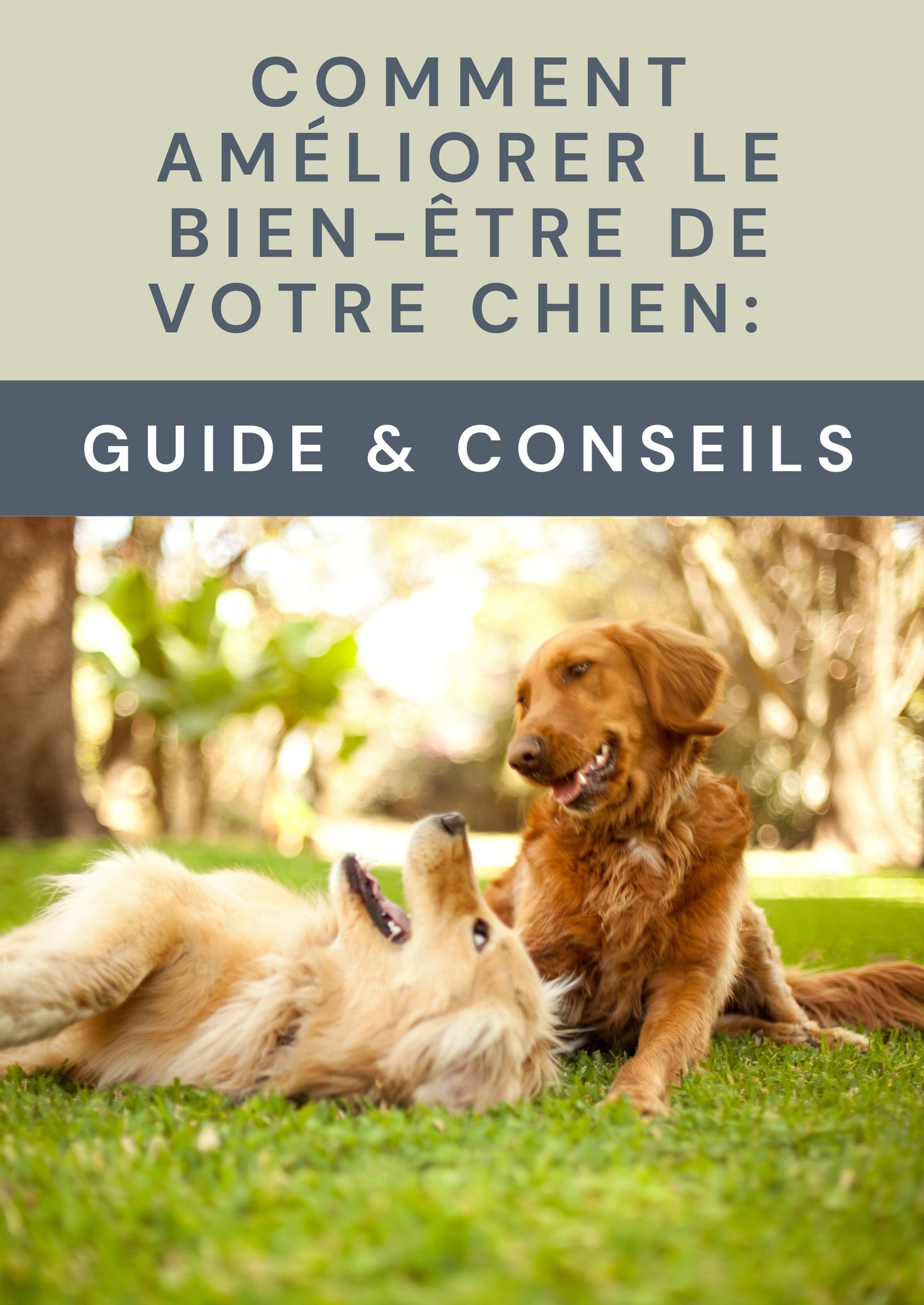 E-book: Comment améliorer le bien-être de votre chien