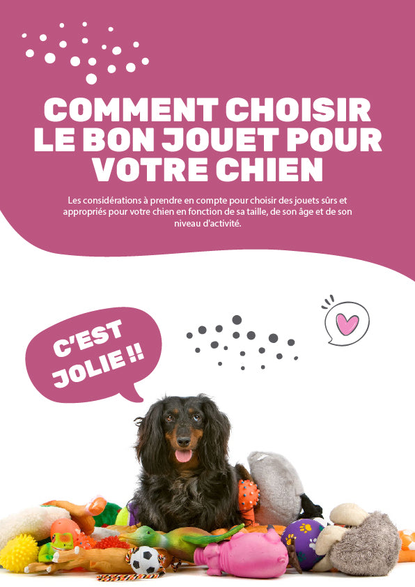 E-book: Comment choisir le bon jouet pour votre chien
