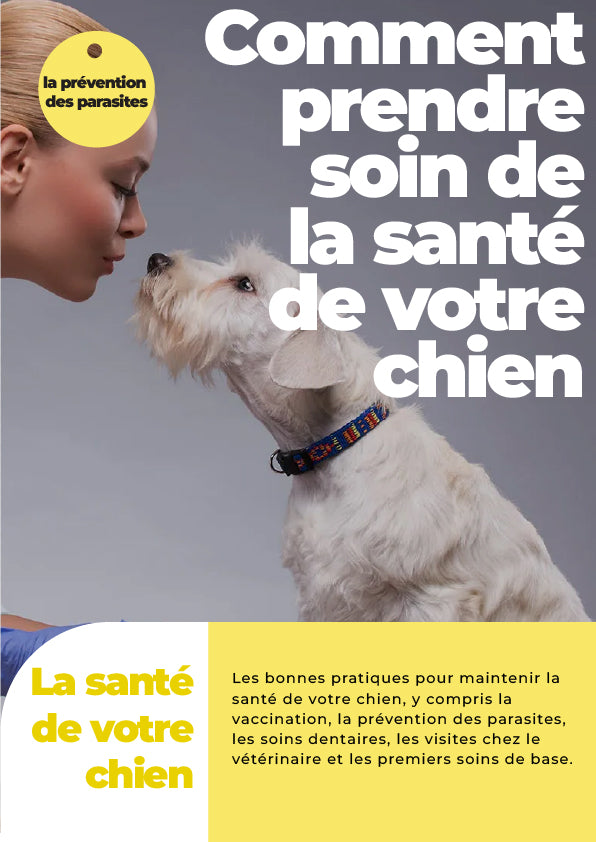 E-book: Comment prendre soin de la santé de votre chien