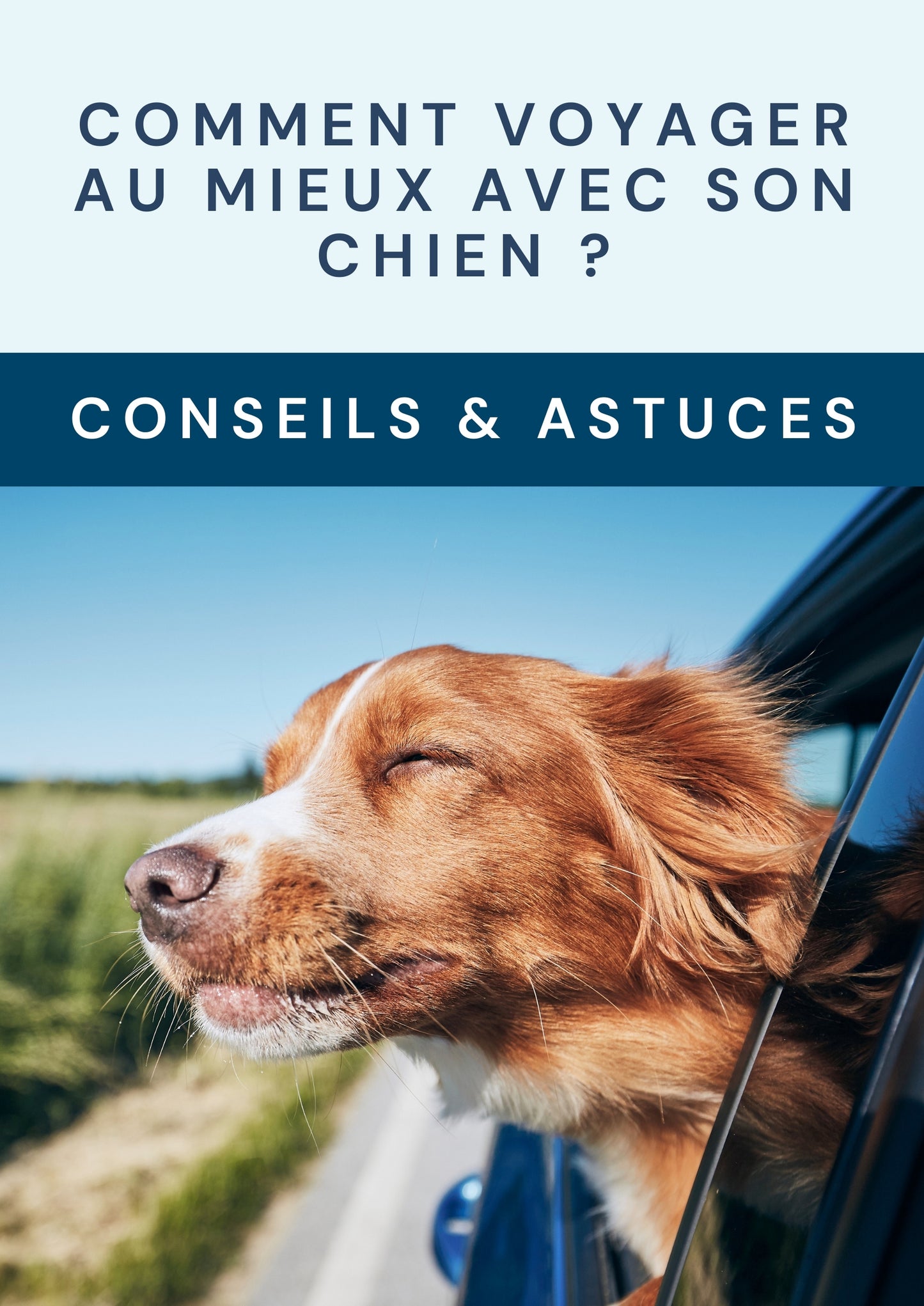 E-book: Mieux voyager avec son chien
