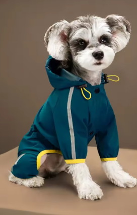Imperméable bleu pour petits chiens