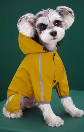 Imperméable jaune pour petits chiens