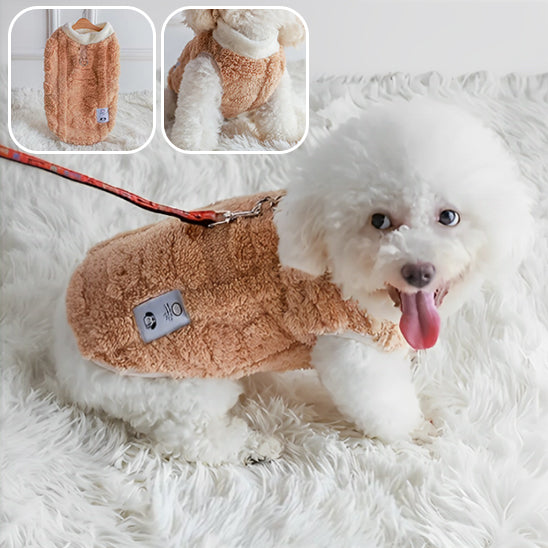 Manteau peluche pour chien