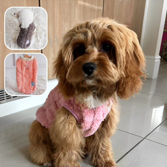 Manteau peluche pour chien