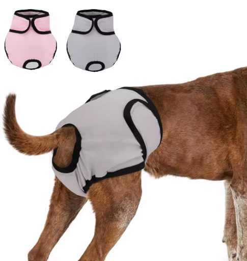 Couche culotte lavable pour chien