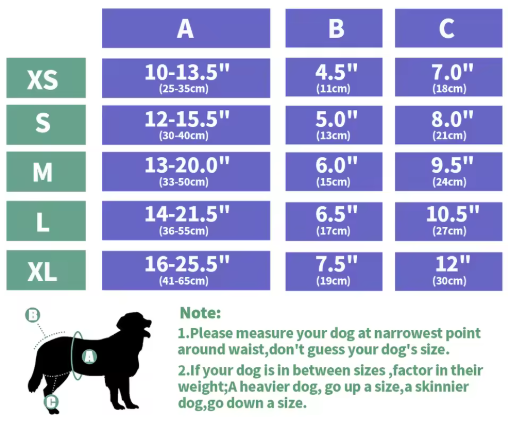 Couche culotte lavable pour chien