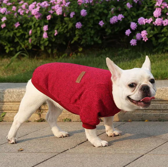 Pull (manteau) pour petit chien