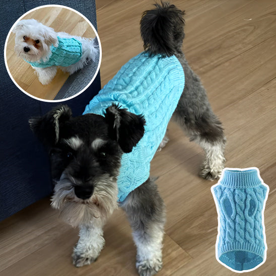 Pull confortable en tricot pour petits chiens