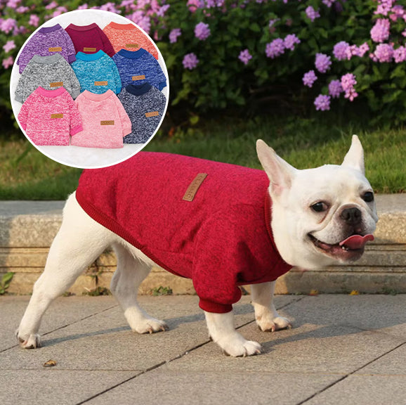 Pull (manteau) pour petit chien