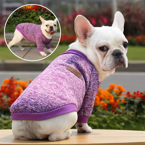 Pull (manteau) pour petit chien