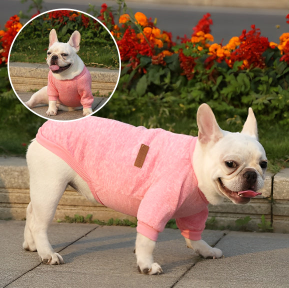 Pull (manteau) pour petit chien