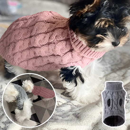 Pull confortable en tricot pour petits chiens