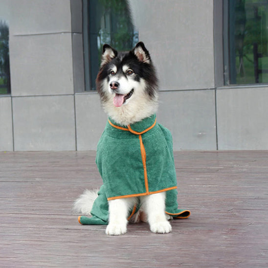 Peignoir confortable pour chien