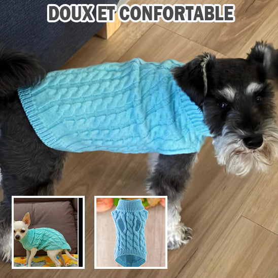 Pull confortable en tricot pour petits chiens