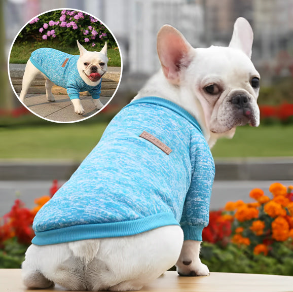 Pull (manteau) pour petit chien