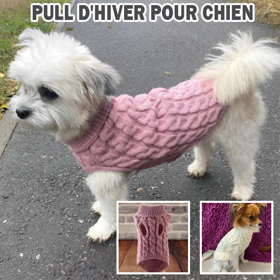 Pull confortable en tricot pour petits chiens