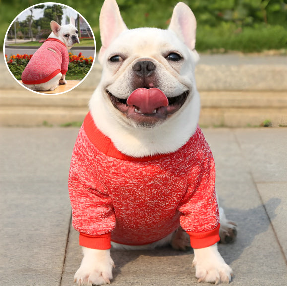 Pull (manteau) pour petit chien