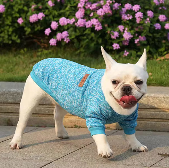 Pull (manteau) pour petit chien