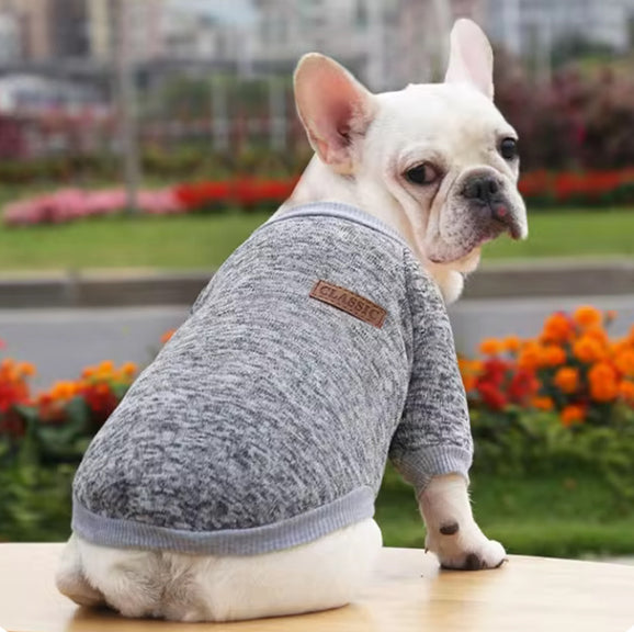 Pull (manteau) pour petit chien